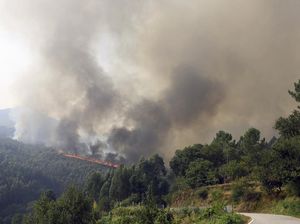 Penampakan Kepulan Asap Kebakaran Hutan di Portugal Penampakan Kepulan Asap Kebakaran Hutan di Portugal