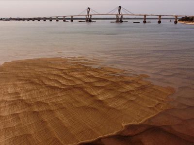 Potret Sungai Terpanjang Kedua di Amerika Selatan Mengering