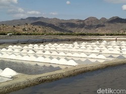 3 Pabrik Pengolahan Garam Tumbang Gegara Bahan Baku