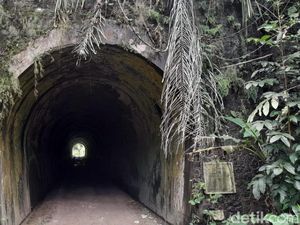 Ini 3 Terowongan KA yang Akan Hidup Lagi di Jalur Banjar-Pangandaran Ini 3 Terowongan KA yang Akan Hidup Lagi di Jalur Banjar-Pangandaran
