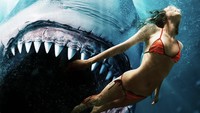 Sinopsis Shark Bait, Film di Bioskop Trans TV Hari Ini