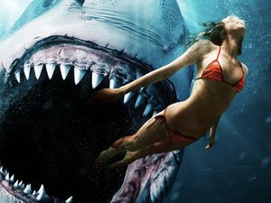 Sinopsis Shark Bait, Film di Bioskop Trans TV Hari Ini Sinopsis Shark Bait, Film di Bioskop Trans TV Hari Ini
