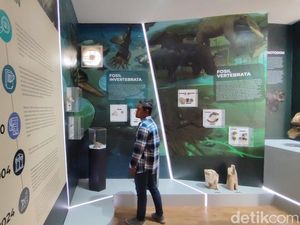 Temuan Istimewa di Kawasan Tambaksari Ciamis