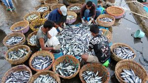 Harga Ikan di Aceh Merangkak Naik Imbas Cuaca Buruk