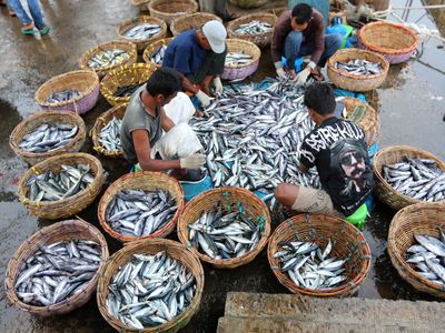 Harga Ikan di Aceh Merangkak Naik Imbas Cuaca Buruk