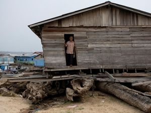 Potret Nelangsa Kehidupan di Tengah Kekeringan Parah Amazon Potret Nelangsa Kehidupan di Tengah Kekeringan Parah Amazon