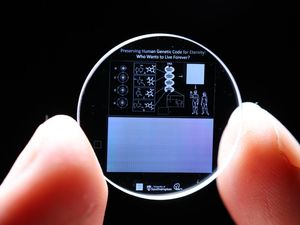 Ingin Hewan & Tumbuhan Punah Hidup Kembali, Peneliti Ciptakan Kapsul Abadi Ini Ingin Hewan & Tumbuhan Punah Hidup Kembali, Peneliti Ciptakan Kapsul Abadi Ini