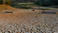 Musim Kemarau Bikin Waduk Bendo di Ponorogo Mengering