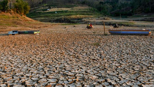 Musim Kemarau Bikin Waduk Bendo di Ponorogo Mengering