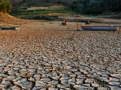 Musim Kemarau Bikin Waduk Bendo di Ponorogo Mengering