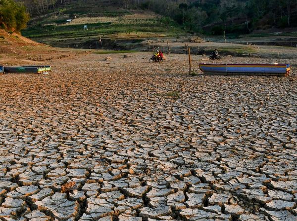 Musim Kemarau Bikin Waduk Bendo di Ponorogo Mengering