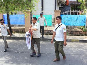 DLH-Satpol PP Palopo Tertibkan 303 APK Pilwalkot hingga Pilgub Sulsel DLH-Satpol PP Palopo Tertibkan 303 APK Pilwalkot hingga Pilgub Sulsel