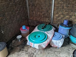 Melihat Proses Pembuatan Brem, Minuman Beralkohol Khas Bayan Melihat Proses Pembuatan Brem, Minuman Beralkohol Khas Bayan