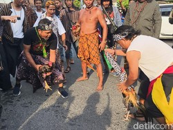 Sabung Ayam di Pertigaan Mastrip Surabaya Iringi Kirab Sawunggaling
