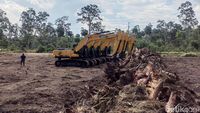 Cetak Sawah di Merauke demi Kejar Swasembada Pangan