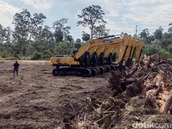 Ada Haji Isam di Proyek Cetak Sawah 1 Juta Hektare, Ini Perannya