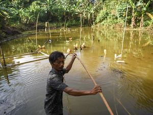 Duh, Masih Ada Warga Belum Pernah Rasakan Air Bersih di Samarinda Duh, Masih Ada Warga Belum Pernah Rasakan Air Bersih di Samarinda