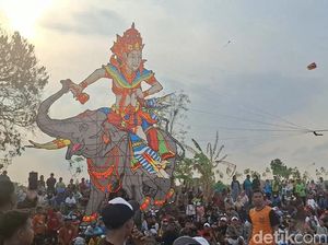 Ratusan Layang-Layang Raksasa Hiasi Langit Gresik