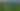 Hutan Amazon. Foto: Pexels
