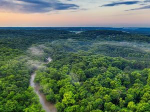 5 Fakta Hutan Amazon yang Ramai Diberi Rating Bintang 1 oleh Netizen RI 5 Fakta Hutan Amazon yang Ramai Diberi Rating Bintang 1 oleh Netizen RI
