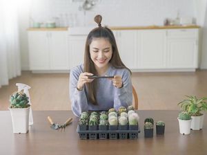 Ubah Hobi Jadi Bisnis dengan Kredit BRIguna, Simak Keuntungannya!