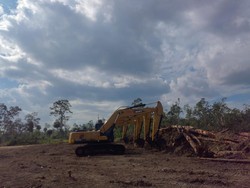 Misi RI Swasembada Pangan Lewat Cetak Sawah di Tanah Merauke