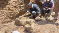 Arkeolog Peru Temukan Fosil Mastodon dari Zaman Es