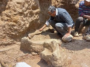 Arkeolog Peru Temukan Fosil Mastodon dari Zaman Es Arkeolog Peru Temukan Fosil Mastodon dari Zaman Es