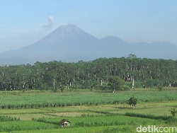 Gunung Semeru 3 Kali Erupsi Pagi Ini