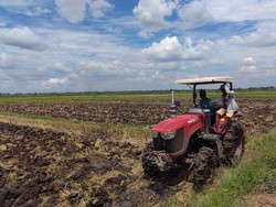 Mengintip Proyek Lumbung Padi di Merauke, Asa RI Gapai Swasembada Pangan