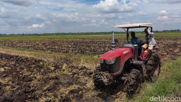 Penampakan Proyek Lumbung Padi Seluas 40 Hektare di Merauke