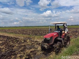 Penampakan Proyek Lumbung Padi Seluas 40 Hektare di Merauke Penampakan Proyek Lumbung Padi Seluas 40 Hektare di Merauke