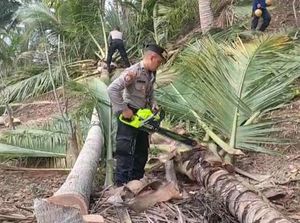 Warga Trenggalek Terdampak Angin Kencang Dapat Bantuan Tenaga dan Bansos Warga Trenggalek Terdampak Angin Kencang Dapat Bantuan Tenaga dan Bansos