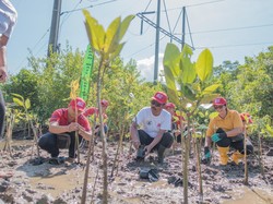 Tukad Mati Lestari dan SRC Kolaborasi Tanam Mangrove di Badung