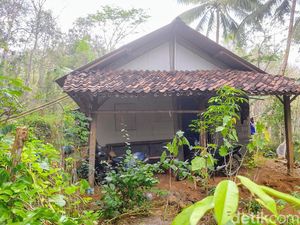 Heboh Sekeluarga Hidup di Kampung Pasar Setan Purworejo, Begini Faktanya
