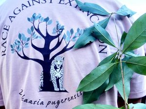 Potret Tanaman Langka Endemik Menuju Punah, di Dunia Cuma Ada di Jember! Potret Tanaman Langka Endemik Menuju Punah, di Dunia Cuma Ada di Jember!