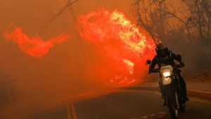 Hutan Ekuador Membara gegara Kekeringan