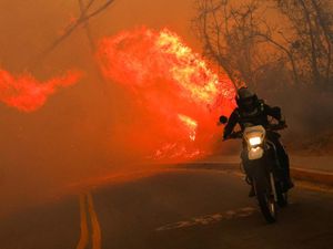 Hutan Ekuador Membara gegara Kekeringan