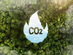 Pemakaian Energi Fosil Bakal Kena Pajak Karbon! Pemakaian Energi Fosil Bakal Kena Pajak Karbon!