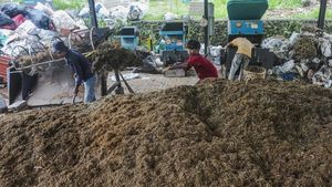 Melihat Pengolahan Sampah untuk Bahan Bakar PLTU