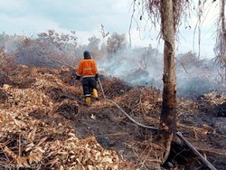 Karhutla di Muara Enim Mengarah Permukiman, Satgas Upayakan Pemadaman