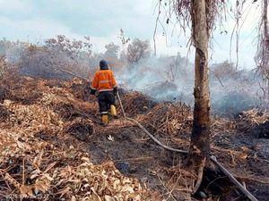 Karhutla di Muara Enim Mengarah Permukiman, Satgas Upayakan Pemadaman Karhutla di Muara Enim Mengarah Permukiman, Satgas Upayakan Pemadaman
