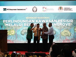 Upaya Proaktif PTFI Rehabilitasi Mangrove demi Melindungi Kawasan Pesisir
