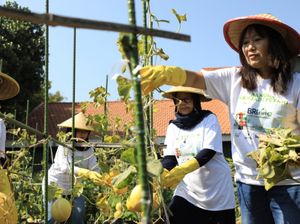 Upaya BRI Dukung Pemberdayaan Wanita-Jaga Lingkungan Berbuah Penghargaan