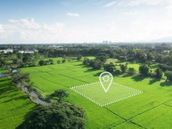 Cara Share Live Location di WhatsApp dan Google Maps