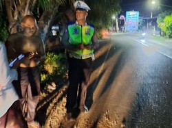 2 Motor Adu Jangkrik di Jalan Singaraja-Gilimanuk, 1 Orang Tewas