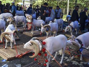 Kontes Ternak untuk Dongkrak Perekonomian Tasikmalaya