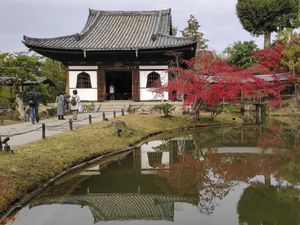 Kuil Kyoto Lelah dengan Ulah Turis yang Buang Sampah Sembarangan