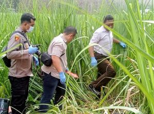 Misteri Tewasnya Pria di Kebun Tebu Usai Pamit Cari Kerja ke Surabaya Misteri Tewasnya Pria di Kebun Tebu Usai Pamit Cari Kerja ke Surabaya