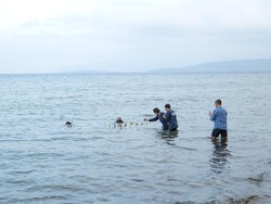 PNM Beraksi: Selamatkan Terumbu Karang, Hidupkan Pesisir